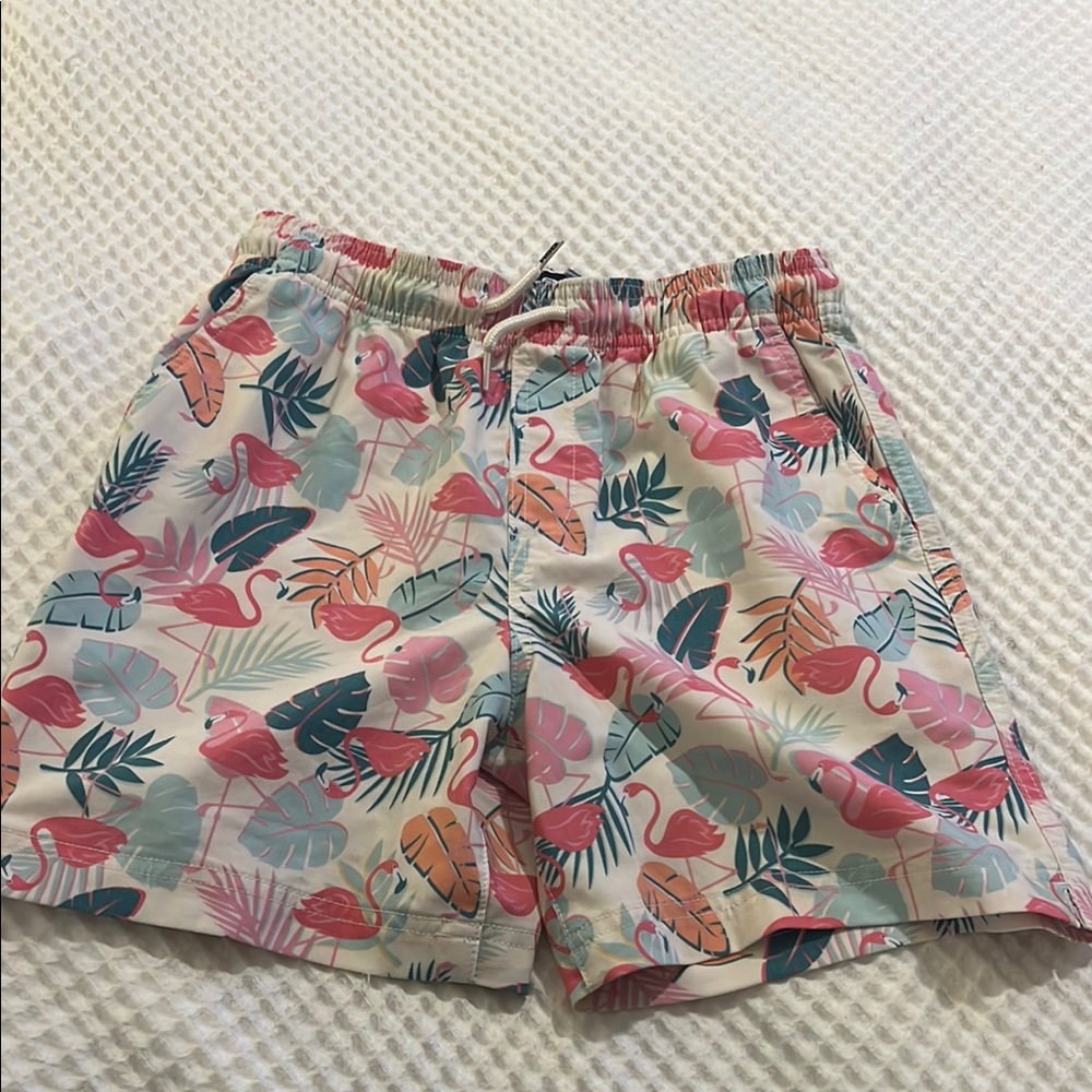 Boy’s Flamingo Print Swim Shorts